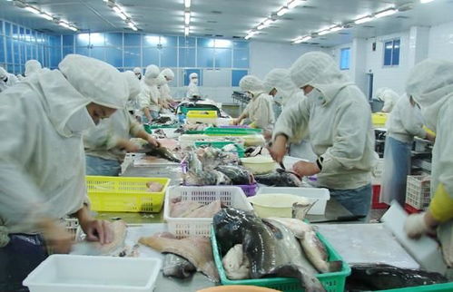 霞浦縣電商物流園即將投入使用,集辦公 倉儲 快遞物流 互聯(lián)網(wǎng) 直播一體化