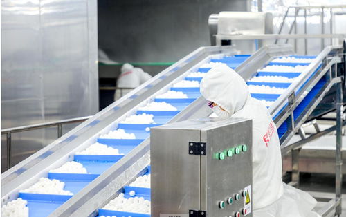 思念食品廠招收大量普工