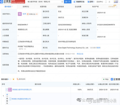 格力電器渠道改革進入新時期,多地成立數字科技公司